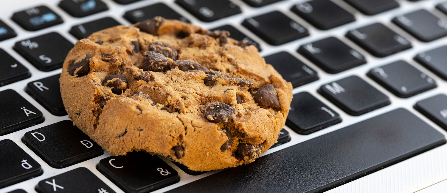 Website Cookie Policy For Sulphur Extended Stay