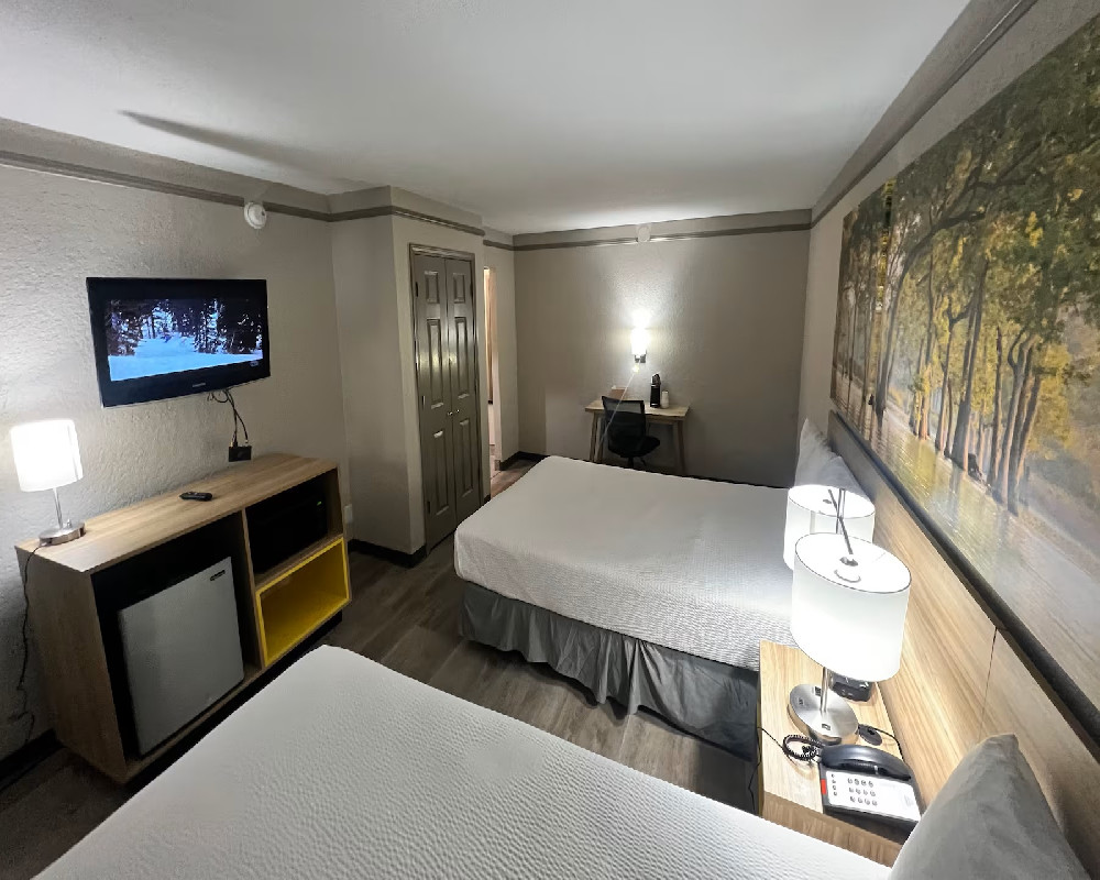 2 Double Beds, Pet-Friendly, Non-SmokingDE